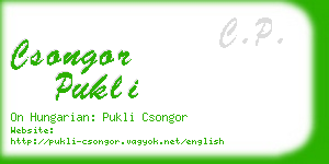 csongor pukli business card